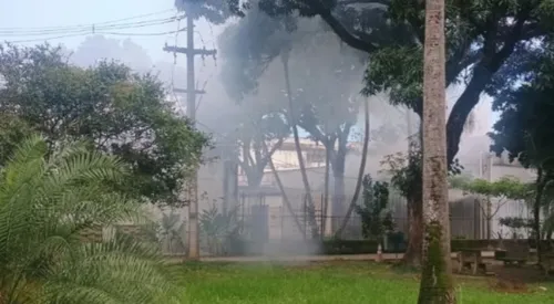 
          Imagem ilustrativa da imagem Incêndio atinge laboratório de física da UFPE
          