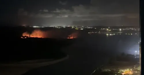 
          Imagem ilustrativa da imagem Incêndio atinge vegetação na Ilha do Amor, no Litoral Sul de Pernambuco
          