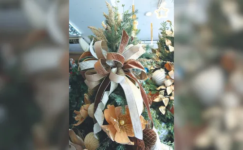 
          Imagem ilustrativa da imagem Lojas da Grande Vitória entram no clima do Natal; confira as tendências
          