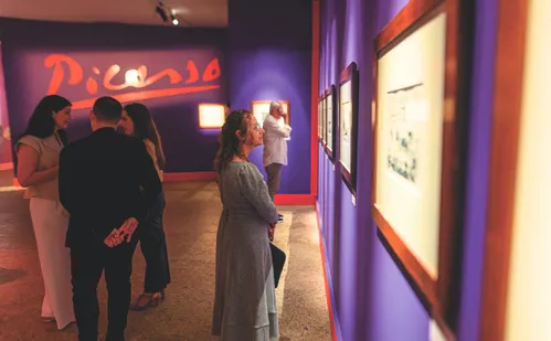 
          Imagem ilustrativa da imagem Mostra sobre Picasso em Vitória já teve mais de 27 mil visitantes
          