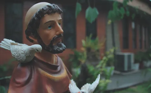 
          Imagem ilustrativa da imagem Novena e missas para São Francisco de Assis em Cariacica
          