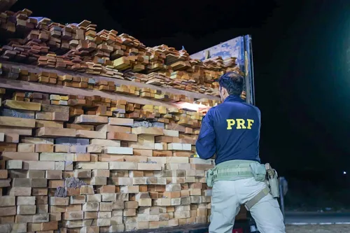 
          Imagem ilustrativa da imagem PRF apreende carga de camarão avaliada em meio milhão de reais no Sertão
          