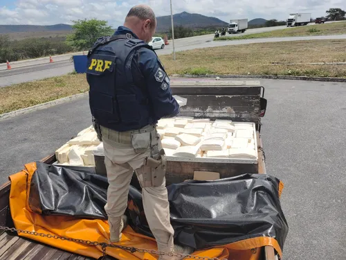 
          Imagem ilustrativa da imagem PRF apreende na BR-232, 600 kg de queijo de coalho transportado sem refrigeração
          