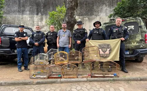 
          Imagem ilustrativa da imagem Pássaros silvestres são apreendidos em cativeiro ilegal em Vila Velha
          