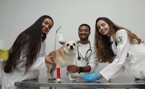 
          Imagem ilustrativa da imagem Temporada de vestibulares com novas opções de cursos; confira
          