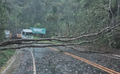 
          Imagem ilustrativa da imagem Temporal causa estragos no ES; chuva vai até domingo
          