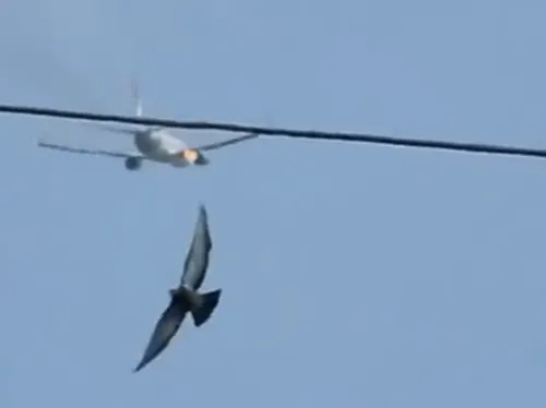 
          Imagem ilustrativa da imagem VÍDEO: Voo da Gol faz pouso de emergência no Recife após fogo em turbina
          