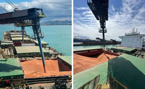
          Imagem ilustrativa da imagem VLI inicia exportação de sorgo pelo ES com 160 mil toneladas para a China
          