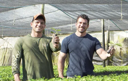
          Imagem ilustrativa da imagem Viveiro Babilon produz 24 milhões de mudas de café por ano
          