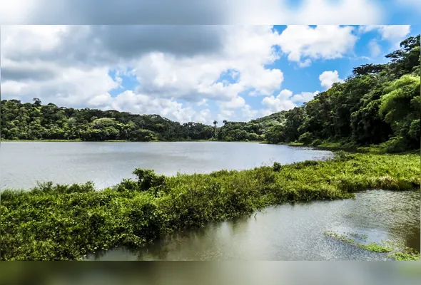 Sistema de abastecimento Gurjaú serve municípios da região Sul do Grande Recife