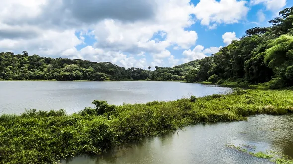 Imagem ilustrativa da imagem Compesa suspende água em 11 bairros de Jaboatão e Cabo neste sábado (17)