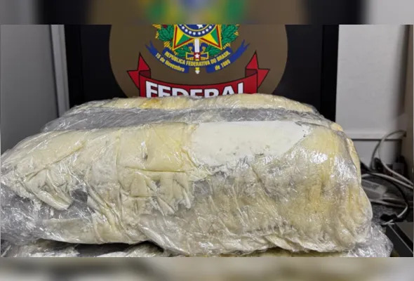 Imagem ilustrativa da imagem PF prende mulher no Aeroporto do Recife com 33 kg de skank
