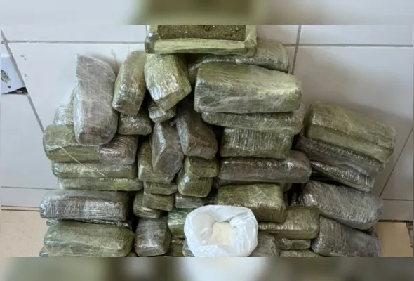 Imagem ilustrativa da imagem PM apreende quase 70 kg de maconha transportados em carro furtado no Sertão