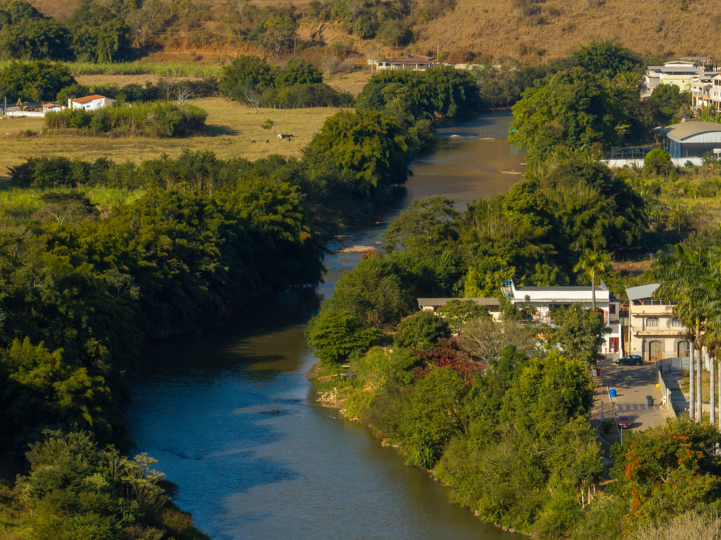 Projeto de Recuperação florestal às margens do Rio do Carmo, em Barra Longa (MG)