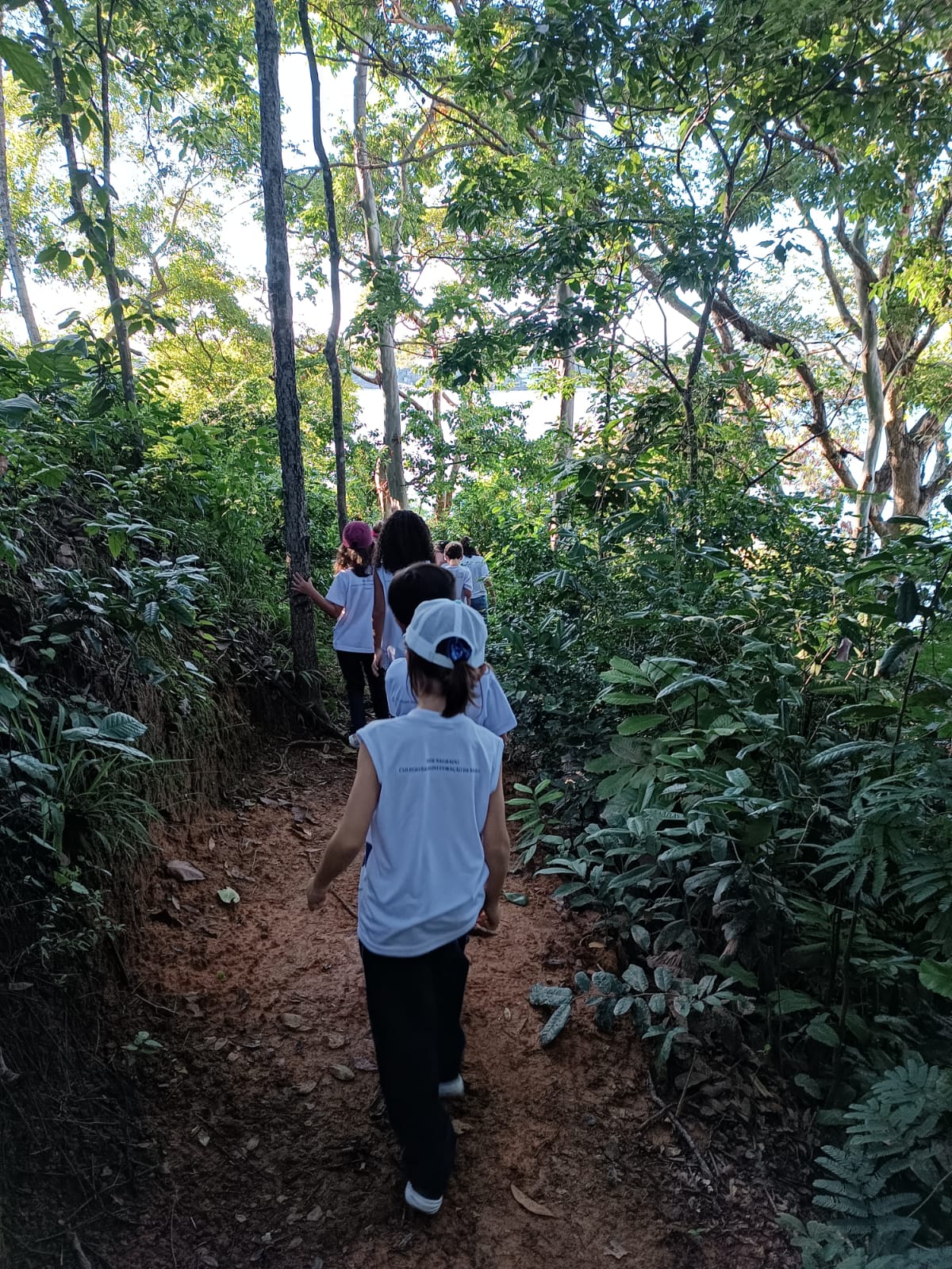Comunidade educativa do Colégio Sagrado Coração de Maria tem acesso à trilha ecológica, favorecendo interação com o meio ambiente