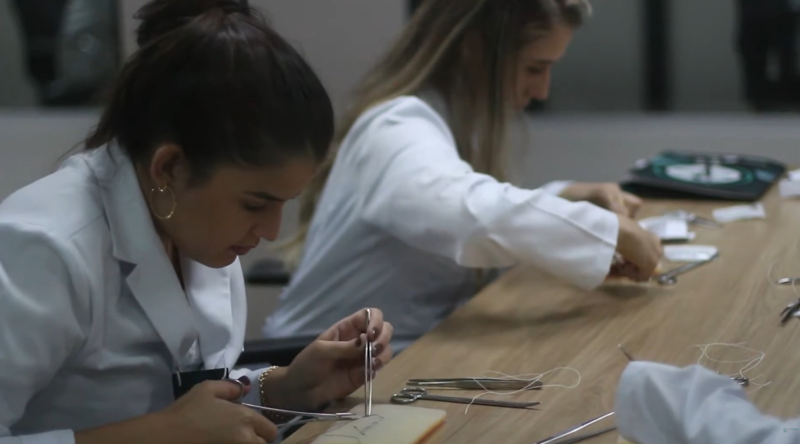 lunas aprendendo a fazer sutura, utilizada em procedimentos cirúrgicos