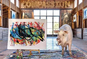Imagem ilustrativa da imagem Porca pintora conhecida como "Pigcasso" vende quadro por R$ 150 mil