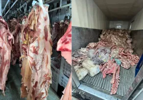 Imagem ilustrativa da imagem Carne podre e insetos: Vila Velha apreende 14 toneladas de carne irregular