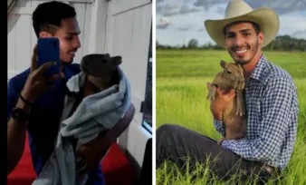 Imagem ilustrativa da imagem VÍDEO | 'Pai de capivara' filhote viraliza nas redes sociais