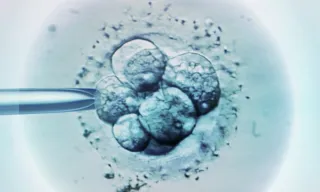 Imagem ilustrativa da imagem Cientistas criam embrião humano 'sintético' sem usar espermatozoide nem óvulo