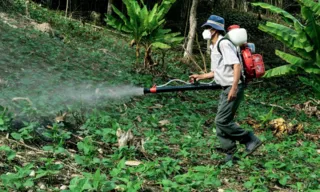 Imagem ilustrativa da imagem Maioria do STF vota por derrubar trechos de decreto sobre agrotóxicos