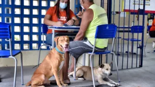 Imagem ilustrativa da imagem ONGs e pessoas que atuam com proteção animal terão apoio veterinário do Recife