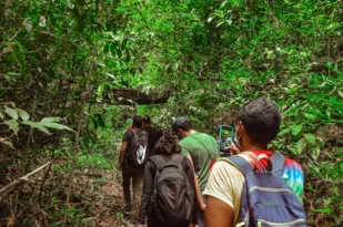 Imagem ilustrativa da imagem Parque Dois Irmãos oferece trilhas na mata para visitantes