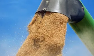 Imagem ilustrativa da imagem Ucrânia fecha acordo com Croácia para contornar fim de pacto de grãos