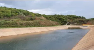 Imagem ilustrativa da imagem Desmatamento na Bacia do Rio São Francisco aumenta 546% em 4 anos