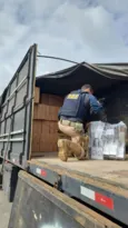 Imagem ilustrativa da imagem Polícia Rodoviária Federal apreende 165 mil maços de cigarros contrabandeados