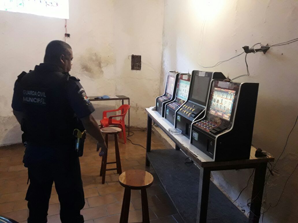 Foto: Guarda Municipal de Vitória