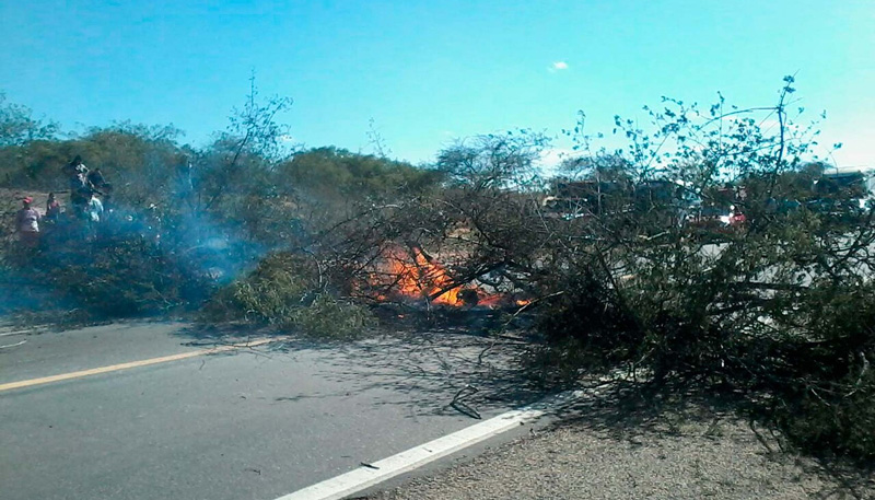 Em Casa Nova, galhos de árvores foram incendiados em plena rodovia. Foto: Divulgação/Polícia Militar Bahia