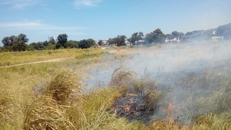 Queimada em Goiabeiras. Foto: Divulgação/WhatsApp