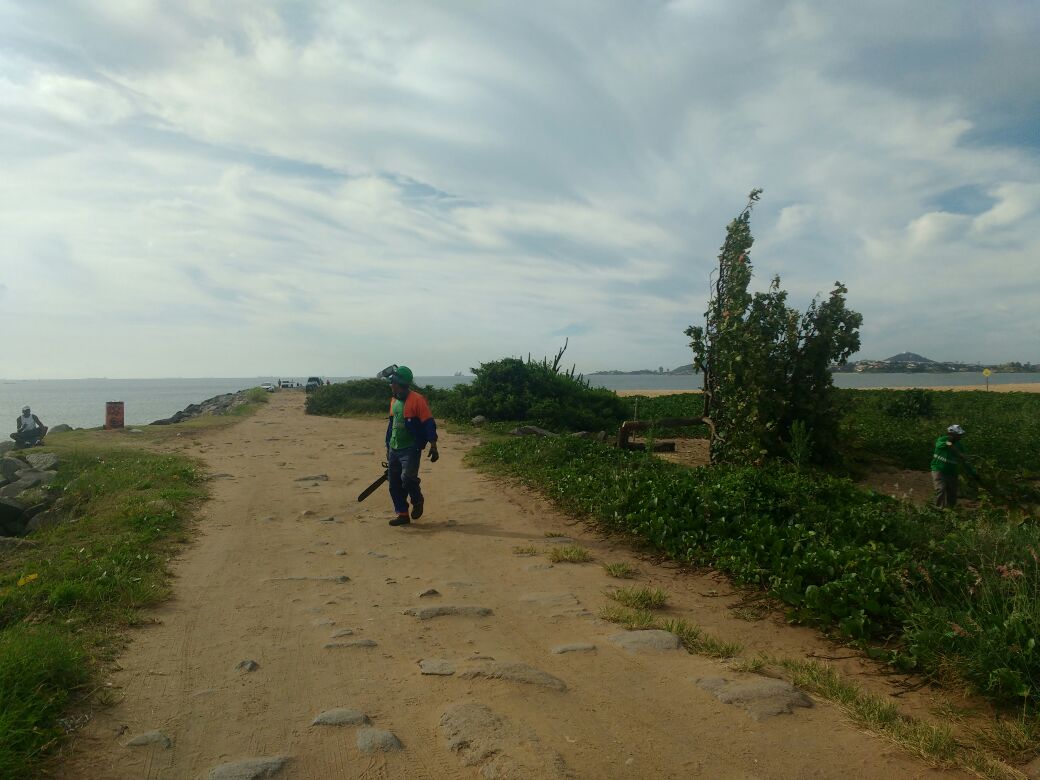 Funcionário da Prefeitura caminha com uma moto serra, utilizada para o corte. Foto: Internauta