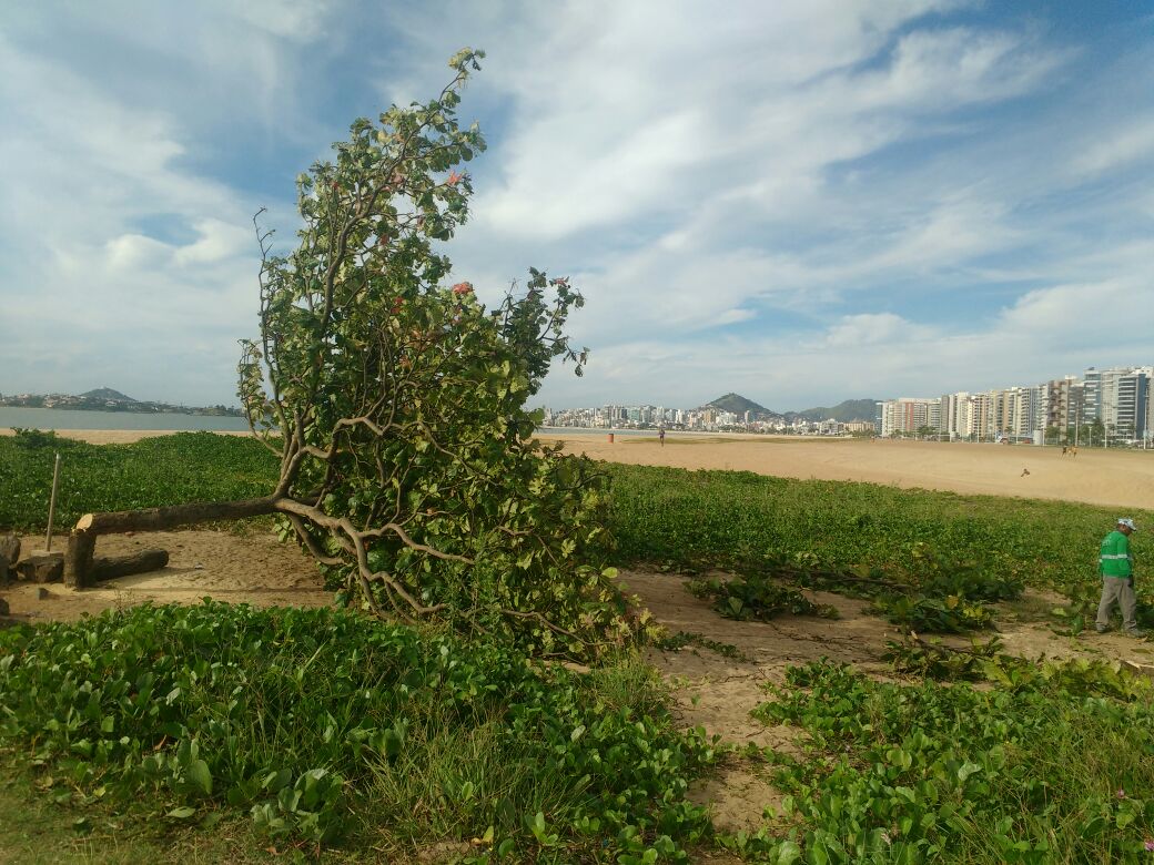 Foto: Internauta
