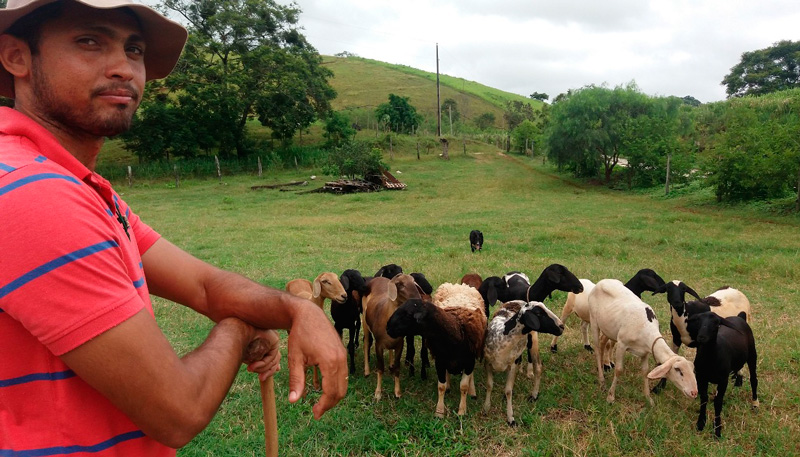 Centro de treinamento funciona em uma propriedade rural no distrito de Itaoca, zona rural de Cachoeiro. Foto: Divulgação