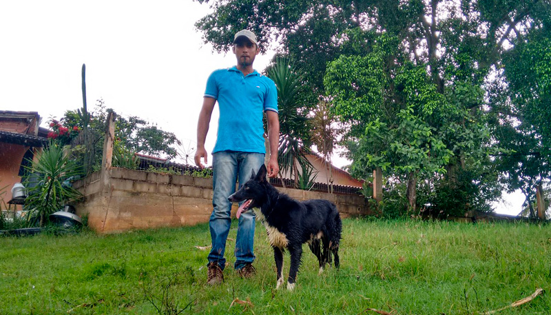 Touch é o nome de um dos cães da raça border collie do centro de treinamento. Foto: Alessandro de Paula