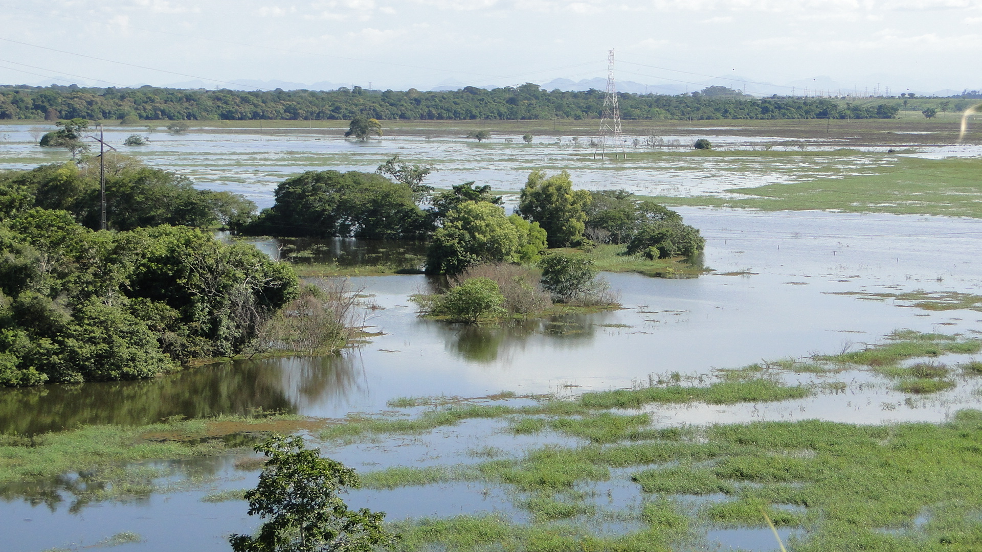 Lagoa de Juparanã inundou pastagens e propriedades rurais,além de atingir Ribeirinhos em Linhares/ Foto: Wilton Júnior