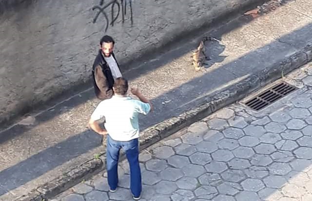 Um filhote de jacaré foi encontrado perto de uma creche em Jardim Camburi. Foto: Divulgação WhatsApp
