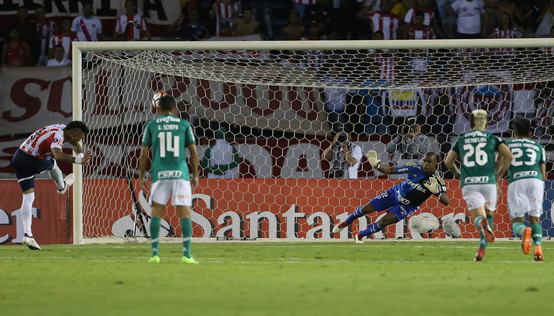 Alviverde foi o único time brasileiro a vencer na competição. Foto: SEPalmeiras