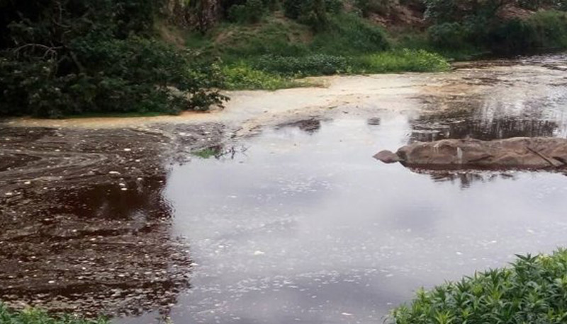 Substância provocou a morte de milhares de peixes no Rio Castelo. Foto: Reprodução