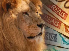 Imagem ilustrativa da imagem Doação a entidades durante a declaração do imposto de renda