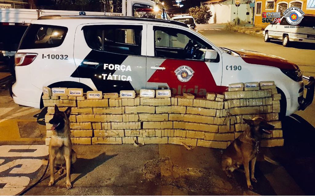 Foto: Divulgação/PMSP