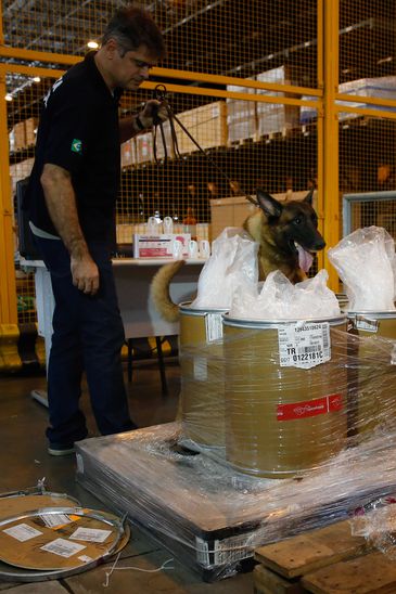 Cão farejador durante apreensão de carga de heroína e acido pícrico. Foto: Fernando Frazão/Agência Brasil