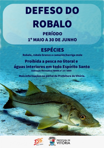 Imagem: Divulgação/Prefeitura de Vitória