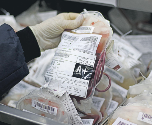 Bolsas após coleta de sangue. (Foto: Rodrigo Nunes/MS 09/11/2016)