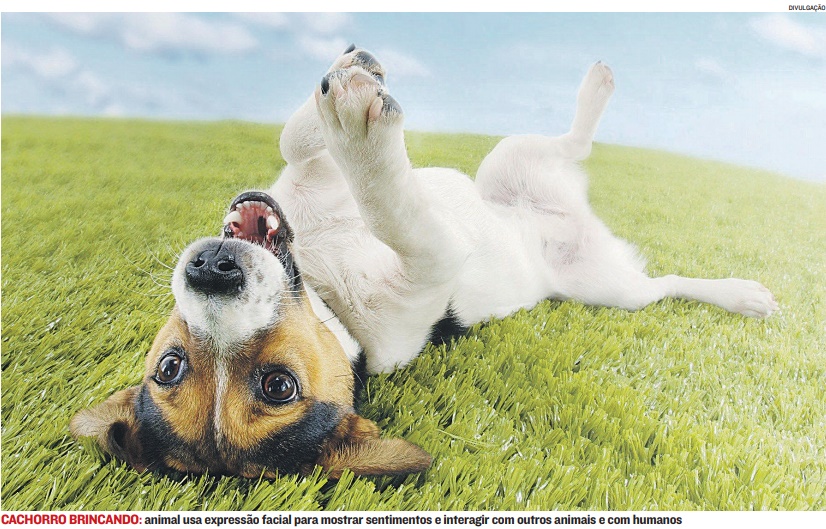 (Foto: Divulgação)