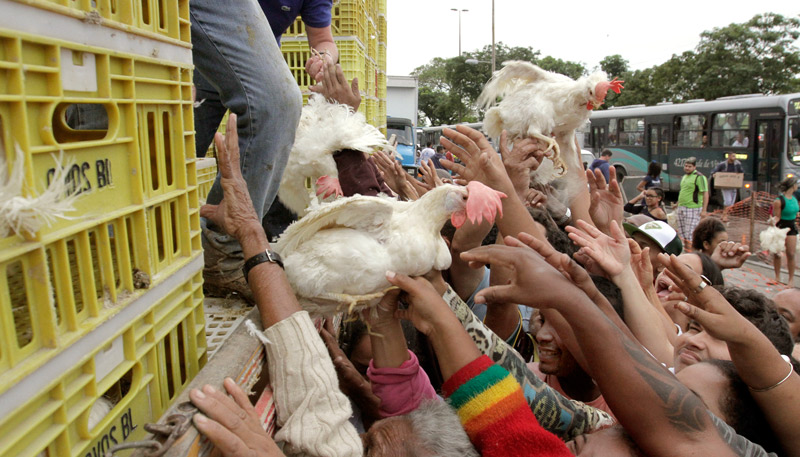Milhares de pessoas ganharam ovos e galinha dos produtores no sábado (Foto: Beto Morais/AT)