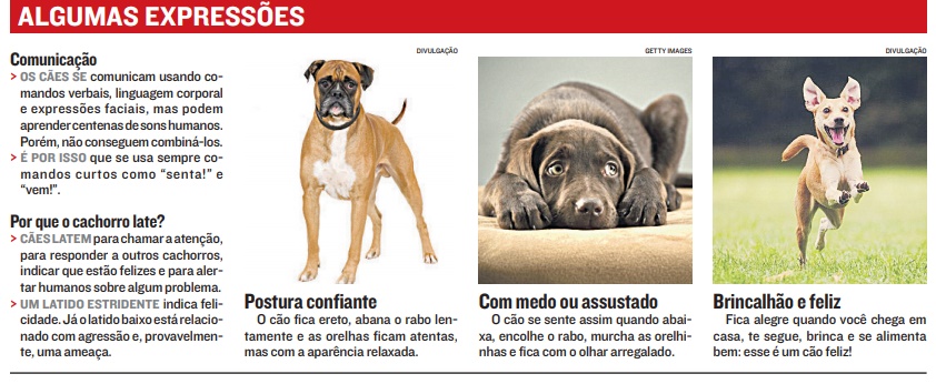 (Foto: )