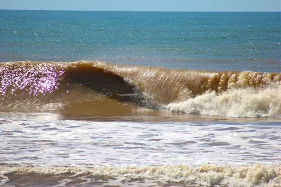 Campeonato de Surf reunirá atletas profissionais na foz do rio Doce e coloca o Espírito Santo na rota do esporte profissional (Foto: Associação de Surf de Linhares)